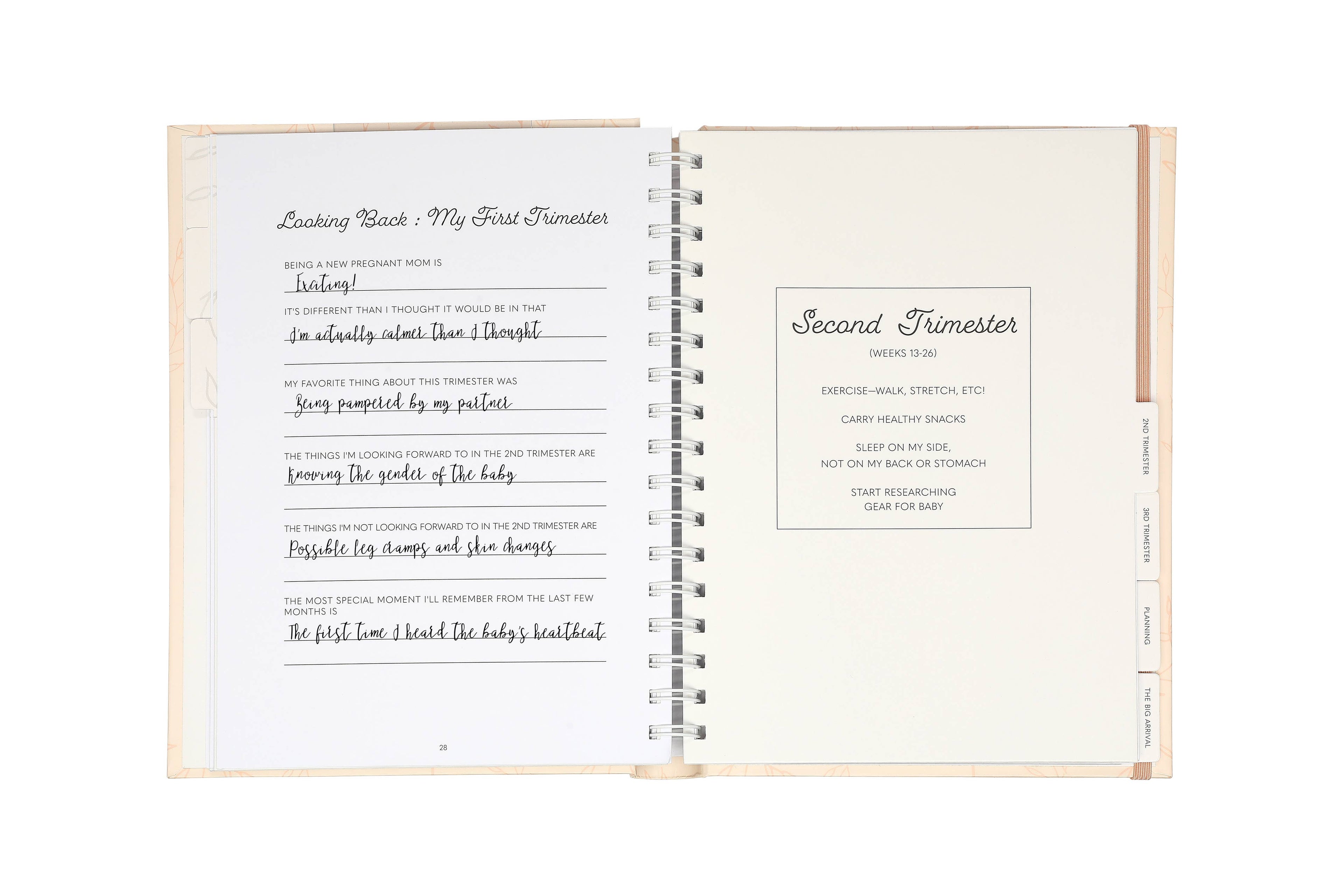 Blush Leaves My Pregnancy Keepsake Journal